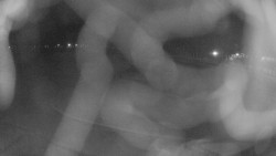 Areál koupaliště Holešov