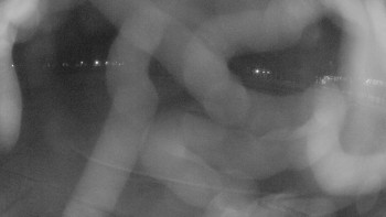 Zámecké koupaliště Holešov