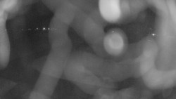 Areál koupaliště Holešov