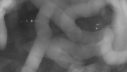 Areál koupaliště Holešov