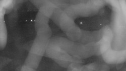 Areál koupaliště Holešov