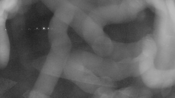 Zámecké koupaliště Holešov