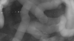 Areál koupaliště Holešov