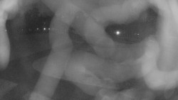 Areál koupaliště Holešov