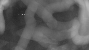 Zámecké koupaliště Holešov