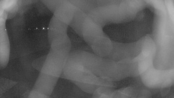 Zámecké koupaliště Holešov