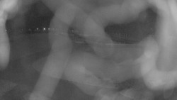 Areál koupaliště Holešov