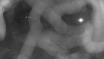 Zámecké koupaliště Holešov