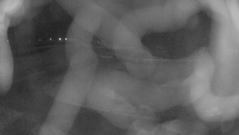 Zámecké koupaliště Holešov