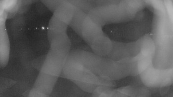 Zámecké koupaliště Holešov