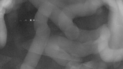 Areál koupaliště Holešov