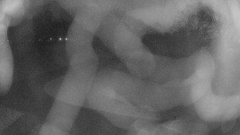 Zámecké koupaliště Holešov