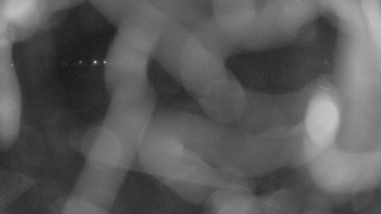 Zámecké koupaliště Holešov