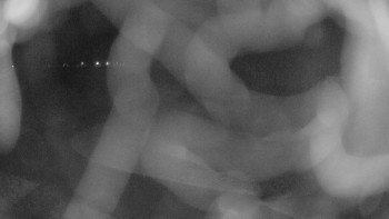 Zámecké koupaliště Holešov