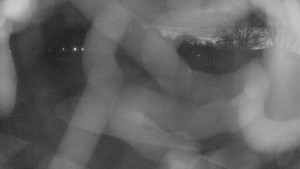 Zámecké koupaliště Holešov - Areál koupaliště Holešov - 25.3.2026 v 04:45