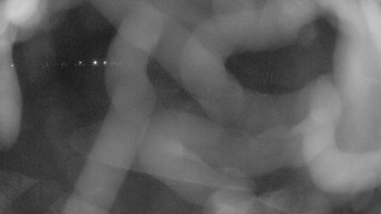 Zámecké koupaliště Holešov