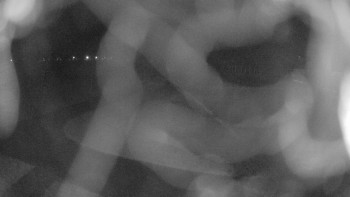 Zámecké koupaliště Holešov