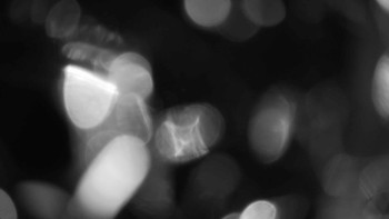 Zámecké koupaliště Holešov