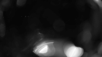 Zámecké koupaliště Holešov