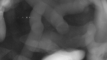 Zámecké koupaliště Holešov