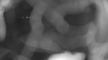 Zámecké koupaliště Holešov