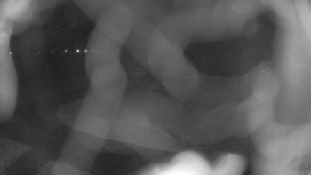 Zámecké koupaliště Holešov