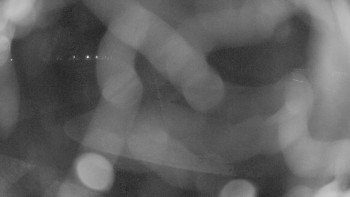 Zámecké koupaliště Holešov