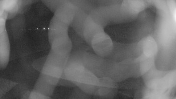 Zámecké koupaliště Holešov