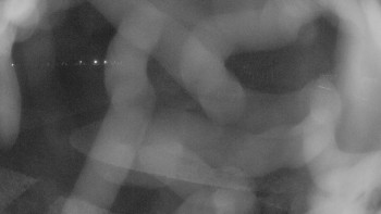 Zámecké koupaliště Holešov