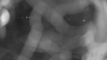 Zámecké koupaliště Holešov