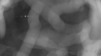 Zámecké koupaliště Holešov