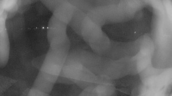 Zámecké koupaliště Holešov