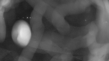 Zámecké koupaliště Holešov