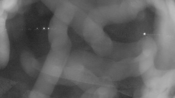 Zámecké koupaliště Holešov