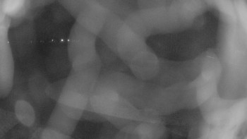 Zámecké koupaliště Holešov