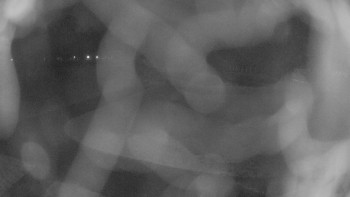 Zámecké koupaliště Holešov