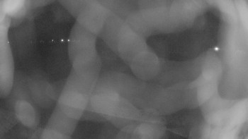 Zámecké koupaliště Holešov