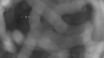 Zámecké koupaliště Holešov