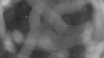 Zámecké koupaliště Holešov