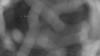 Zámecké koupaliště Holešov