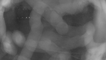 Zámecké koupaliště Holešov