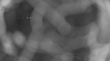 Zámecké koupaliště Holešov