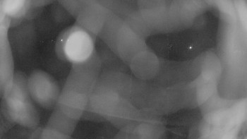 Zámecké koupaliště Holešov