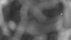 Areál koupaliště Holešov