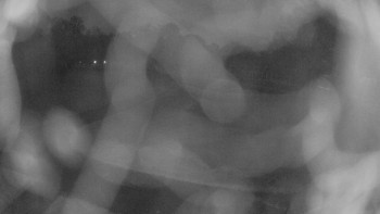 Zámecké koupaliště Holešov