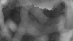 Areál koupaliště Holešov