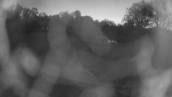 Areál koupaliště Holešov