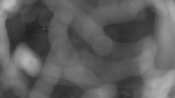 Areál koupaliště Holešov