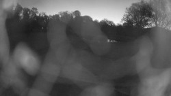 Areál koupaliště Holešov