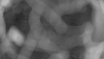 Zámecké koupaliště Holešov